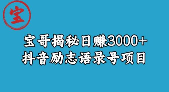 宝哥揭秘日赚3000+抖音励志语录号短视频变现项目-杨大侠副业网