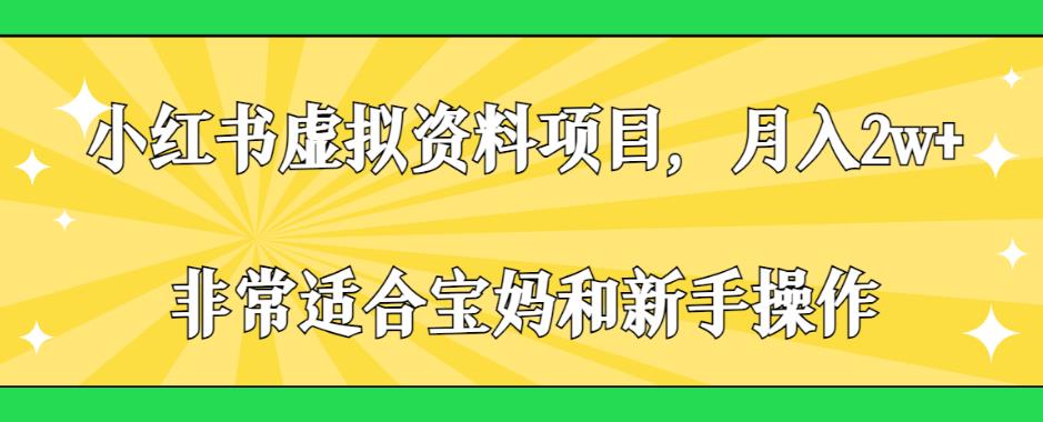 小红书虚拟资料项目，月入2w+，非常适合宝妈和新手操作【揭秘】-杨大侠副业网