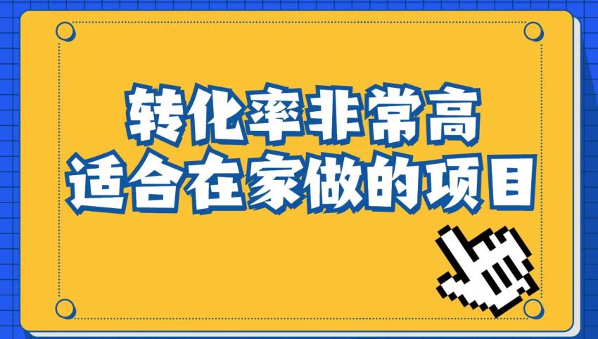 小红书虚拟电商项目：从小白到精英（视频课程+交付手册）-杨大侠副业网