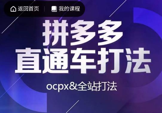 互力·拼多多直通车打法，ocpx&全站打法-杨大侠副业网