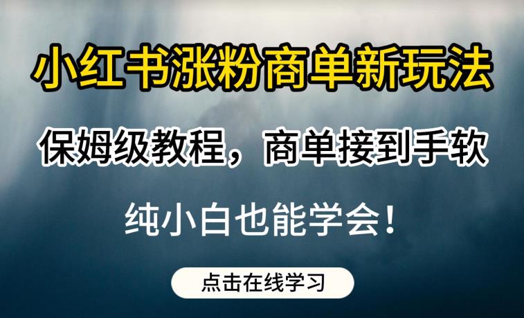 小红书涨粉商单新玩法，保姆级教程，商单接到手软，纯小白也能学会【揭秘】-杨大侠副业网