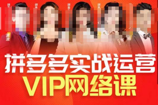 推易拼多多VIP全套直播课程，拼多多店铺实操玩法+实战玩法选款内功+直通车高阶等-杨大侠副业网