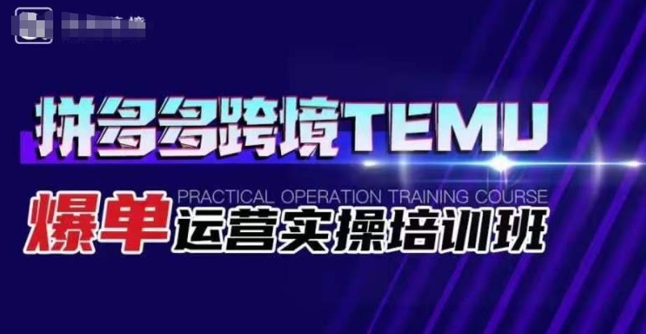 拼多多跨境TEMU爆单运营实操培训班，海外拼多多的选品、运营、爆单-杨大侠副业网