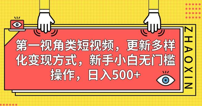 第一视角类短视频，更新多样化变现方式，新手小白无门槛操作，日入500+【揭秘】-杨大侠副业网