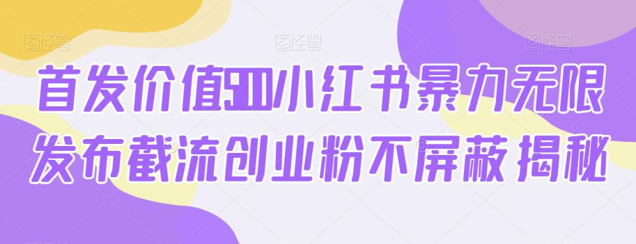 首发价值5100小红书暴力无限发布截流创业粉不屏蔽揭秘-杨大侠副业网