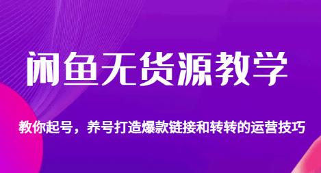 闲鱼无货源教学，教你起号，养号打造爆款链接以及转转的运营技巧-杨大侠副业网