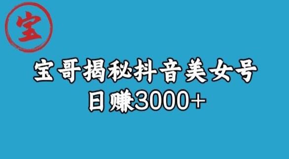 宝哥揭秘抖音美女号玩法，日赚3000+【揭秘】-杨大侠副业网