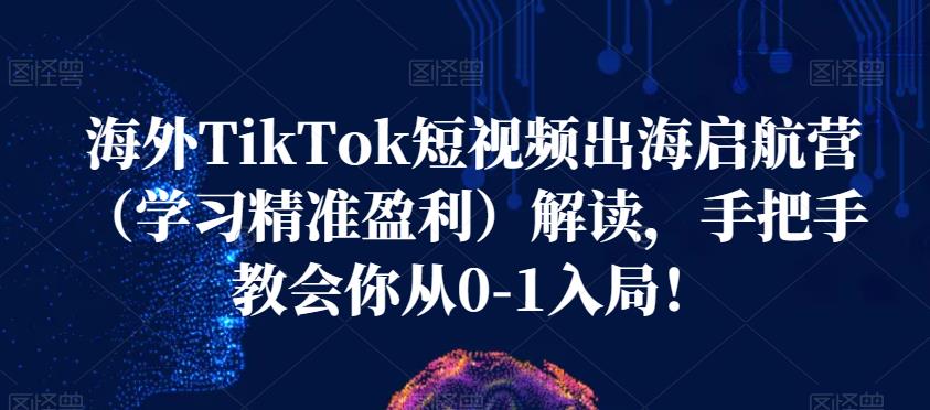 海外TikTok短视频出海启航营（学习精准盈利）解读，手把手教会你从0-1入局！-杨大侠副业网