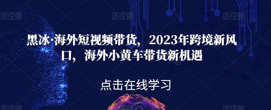 黑冰·海外短视频带货，2023年跨境新风口，海外小黄车带货新机遇-杨大侠副业网