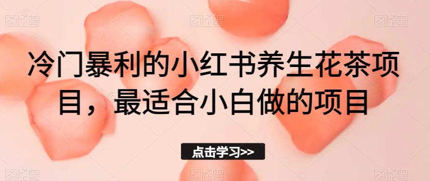 冷门暴利的小红书养生花茶项目，最适合小白做的项目【揭秘】-杨大侠副业网