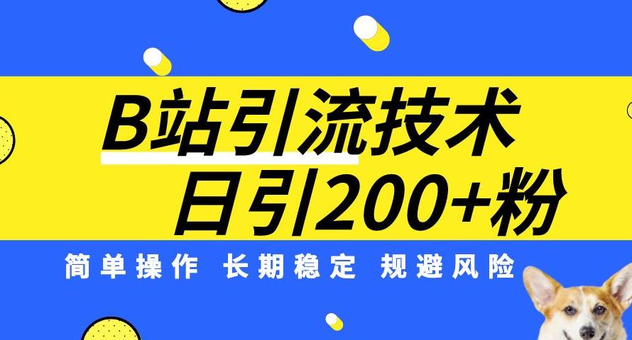 B站引流技术：每天引流200精准粉，简单操作，长期稳定，规避风险-杨大侠副业网