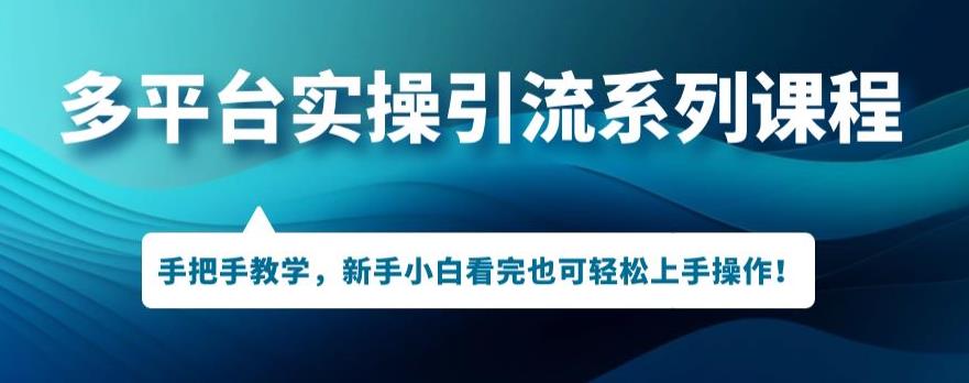 多平台引流实操系列课程，新手小白看完也可轻松上手进行引流操作-杨大侠副业网