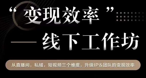 变现效率线下工作坊，从‮播直‬间、私域、‮视短‬频‮个三‬维度，升级IP和团队变现效率-杨大侠副业网