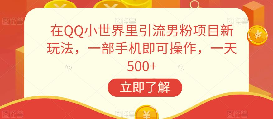 在QQ小世界里引流男粉项目新玩法，一部手机即可操作，一天500+【揭秘】-杨大侠副业网