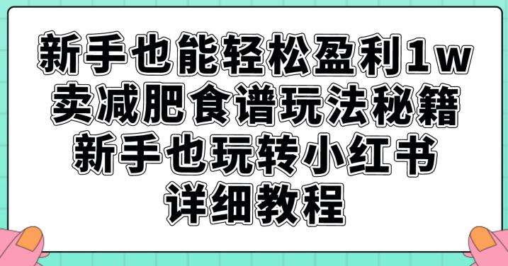 新手也能轻松盈利1w，卖减肥食谱玩法秘籍，新手也玩转小红书详细教程【揭秘】-杨大侠副业网