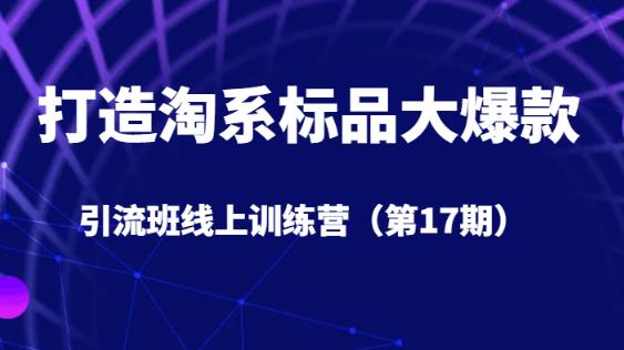 打造淘系标品大爆款引流班线上训练营（第17期）5天直播授课-杨大侠副业网