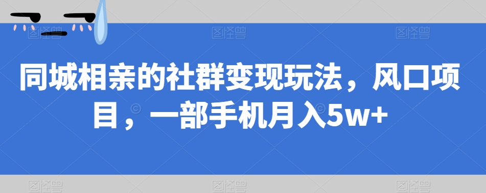 同城相亲的社群变现玩法，风口项目，一部手机月入5w+【揭秘】-杨大侠副业网