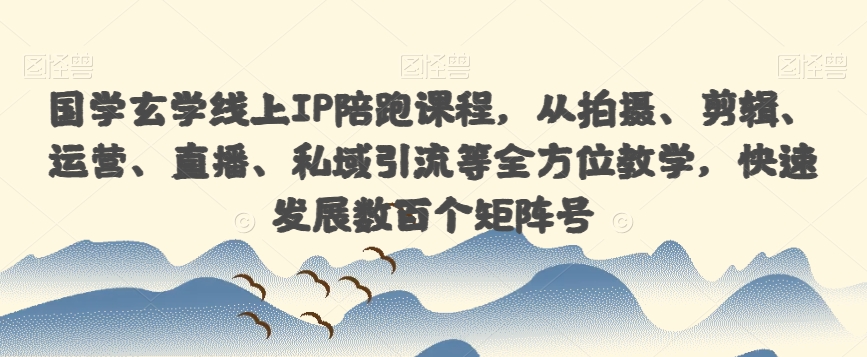 国学玄学线上IP陪跑课程，从拍摄、剪辑、运营、直播、私域引流等全方位教学，快速发展数百个矩阵号-杨大侠副业网