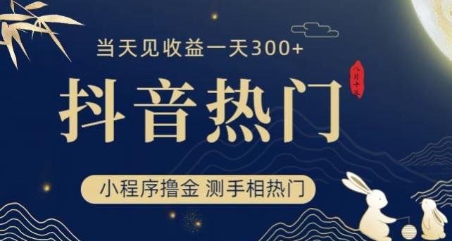 抖音最新小程序撸金，测手相上热门，当天见收益一小时变现300+【揭秘】-杨大侠副业网