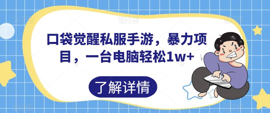 口袋觉醒私服手游，暴力项目，一台电脑轻松1w+【揭秘】-杨大侠副业网