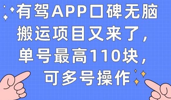 有驾APP口碑无脑搬运项目又来了，单号最高110块，可多号操作-杨大侠副业网