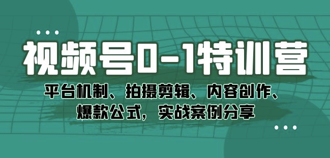 视频号0-1特训营：平台机制、拍摄剪辑、内容创作、爆款公式，实战案例分享-杨大侠副业网