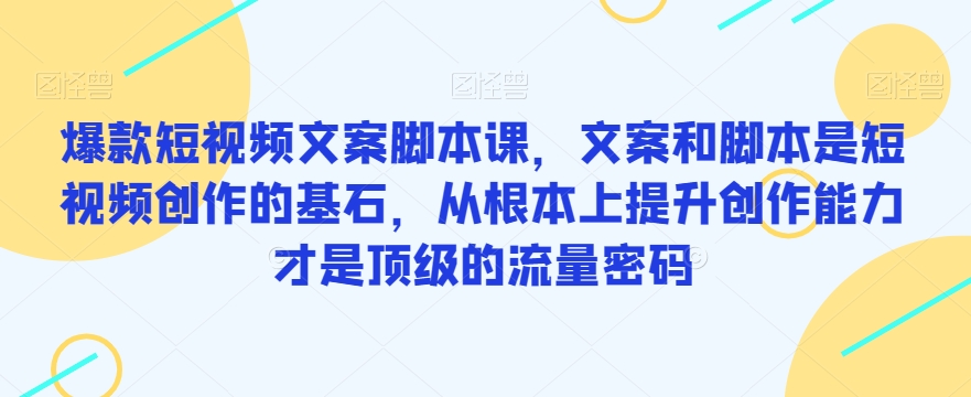 爆款短视频文案脚本课，文案和脚本是短视频创作的基石，从根本上提升创作能力才是顶级的流量密码-杨大侠副业网