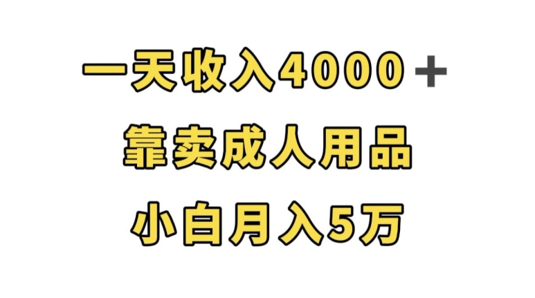 一天收入4000+，靠卖成人用品，小白轻松月入5万【揭秘】-杨大侠副业网