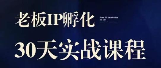 诸葛·2023老板IP实战课，实体同城引流获客，IP孵化必听-杨大侠副业网