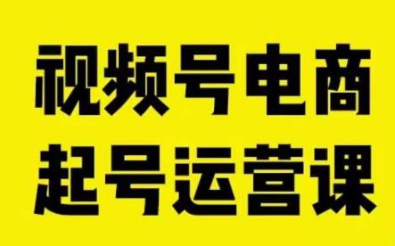 视频号电商起号运营课，教新人如何自然流起号，助力商家0-1突破-杨大侠副业网