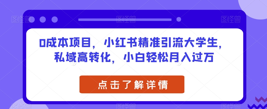 0成本项目，小红书精准引流大学生，私域高转化，小白轻松月入过万【揭秘】-杨大侠副业网