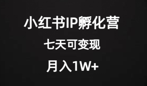 价值2000+的小红书IP孵化营项目，超级大蓝海，七天即可开始变现，稳定月入1W+-杨大侠副业网