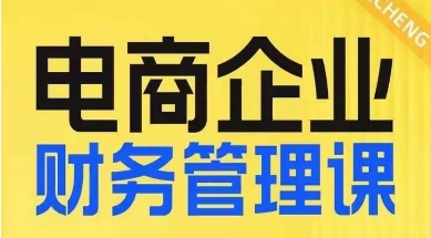 电商企业财务管理线上课，为电商企业规划财税-杨大侠副业网