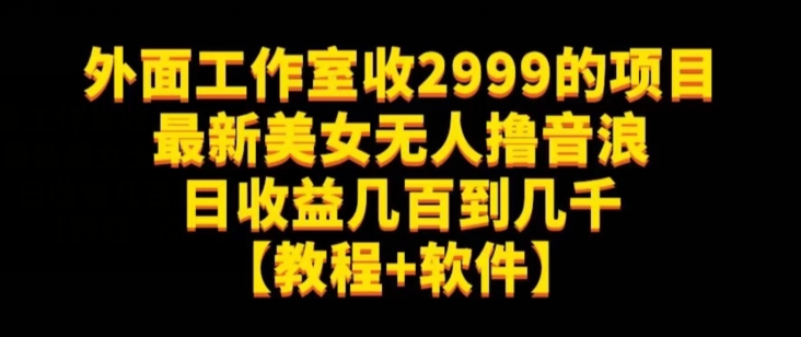 外面工作室收2999的项目最新美女无人撸音浪日收益几百到几千【教程+软件】（仅揭秘）-杨大侠副业网