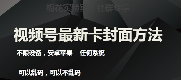 梅花实验室社群最新卡封面玩法3.0，不限设备，安卓苹果任何系统-杨大侠副业网