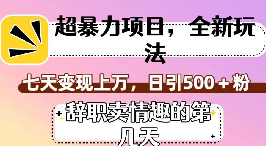 超暴利项目，全新玩法（辞职卖情趣的第几天），七天变现上万，日引500+粉【揭秘】-杨大侠副业网