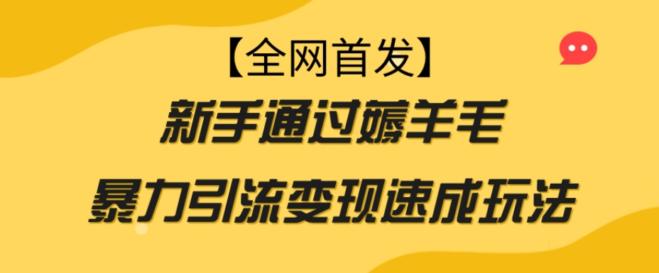 【全网首发】新手通过薅羊毛暴力引流变现速成玩法-杨大侠副业网