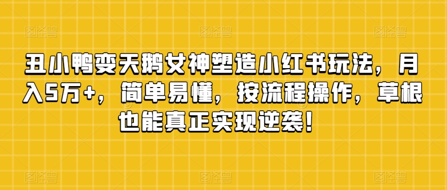 丑小鸭变天鹅女神塑造小红书玩法，月入5万+，简单易懂，按流程操作，草根也能真正实现逆袭！-杨大侠副业网