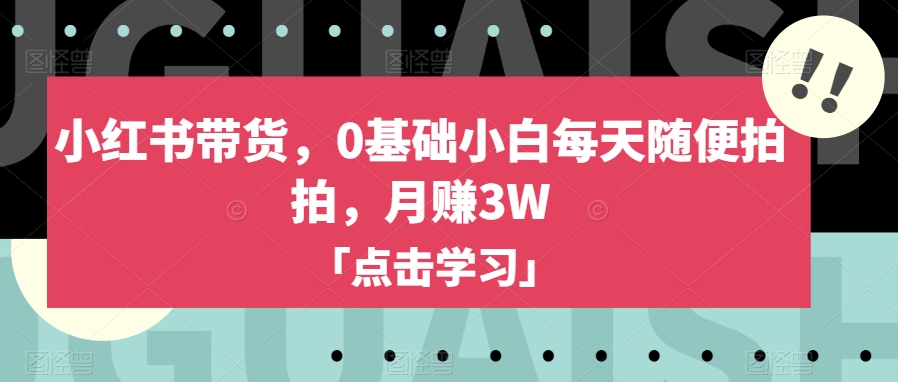 小红书带货，0基础小白每天随便拍拍，月赚3W【揭秘】-杨大侠副业网