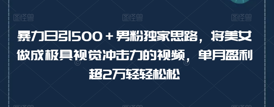 暴力日引500＋男粉独家思路，将美女做成极具视觉冲击力的视频，单月盈利超2万轻轻松松-杨大侠副业网