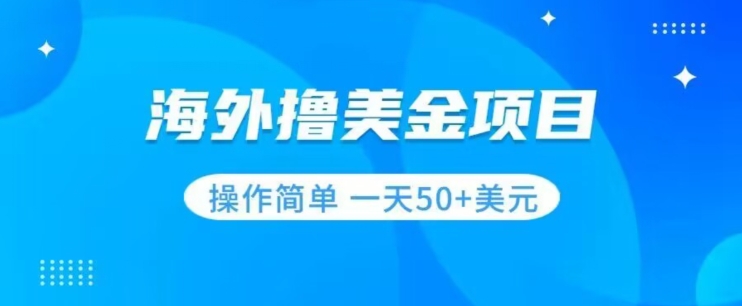 撸美金项目无门槛操作简单小白一天50+美刀-杨大侠副业网