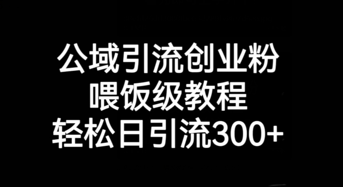 公域引流创业粉，喂饭级教程，轻松日引流300+【揭秘】-杨大侠副业网