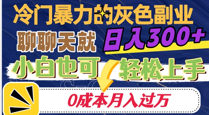 冷门暴利的副业项目，聊聊天就能日入300+，0成本月入过万【揭秘】-杨大侠副业网