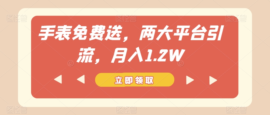 手表免费送，两大平台引流，月入1.2W【揭秘】-杨大侠副业网