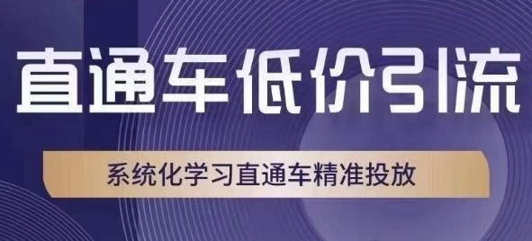 直通车低价引流课，系统化学习直通车精准投放-杨大侠副业网