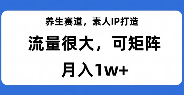 养生赛道，素人IP打造，流量很大，可矩阵，月入1w+【揭秘】-杨大侠副业网