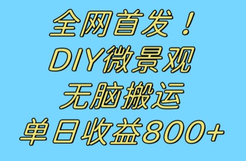 全网首发冷门赛道！DIY微景观，无脑搬运视频，日收益800+【揭秘】-杨大侠副业网