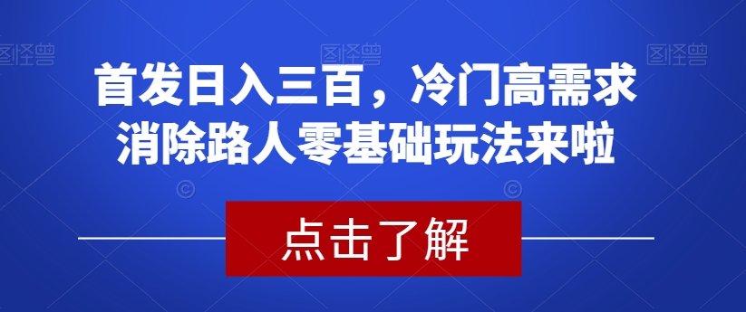 首发日入三百，冷门高需求消除路人零基础玩法来啦【揭秘】-杨大侠副业网