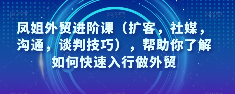 凤姐外贸进阶课（扩客，社媒，沟通，谈判技巧），帮助你了解如何快速入行做外贸-杨大侠副业网