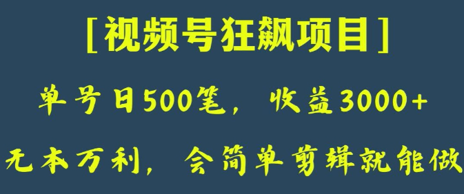 日收款500笔，纯利润3000+，视频号狂飙项目，会简单剪辑就能做【揭秘】-杨大侠副业网